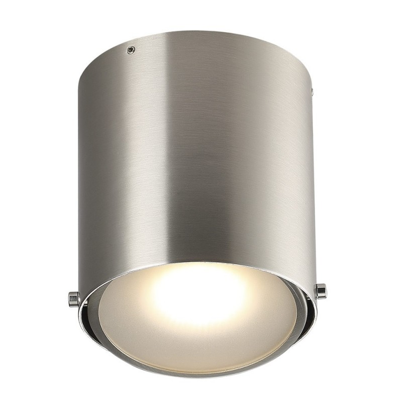 Brushed Steel Ceiling Bathroom Lamp