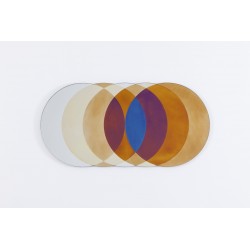 Transience Multicoloured Large Circles Mirror
