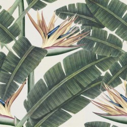 MindTheGap Tropical Bloom Wallpaper