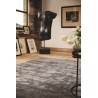 Karma Rug in Fossil