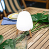 Newgarden Rocket 20 Portable Touch Table Lamp