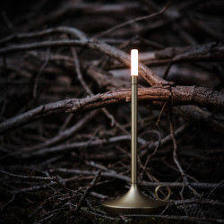 Graypants Wick Rechargeable Table Light, USB-C, Brass