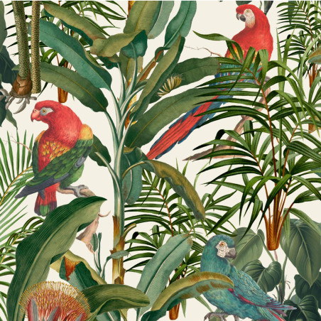 MindTheGap Parrots Of Brasil Wallpaper