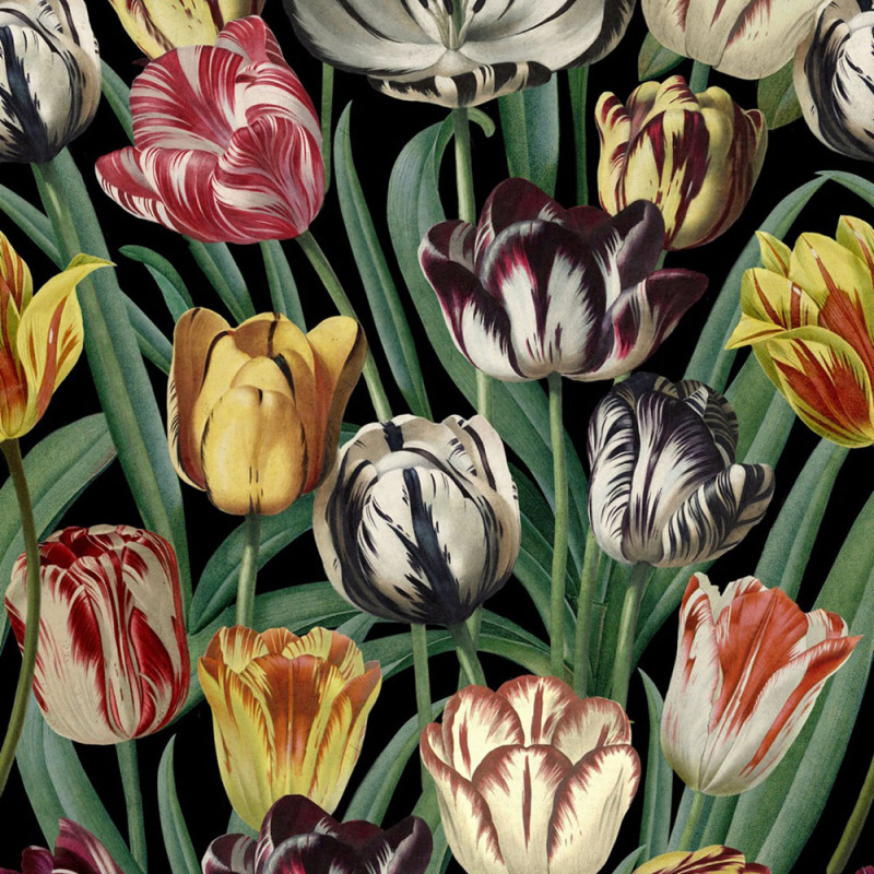 MindTheGap Tulipa Wallpaper