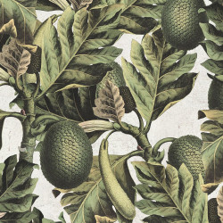 MindTheGap Exotic Fruit I Wallpaper