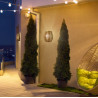 Newgarden Bossa 25 Outdoor Wall Lamp | Wireless